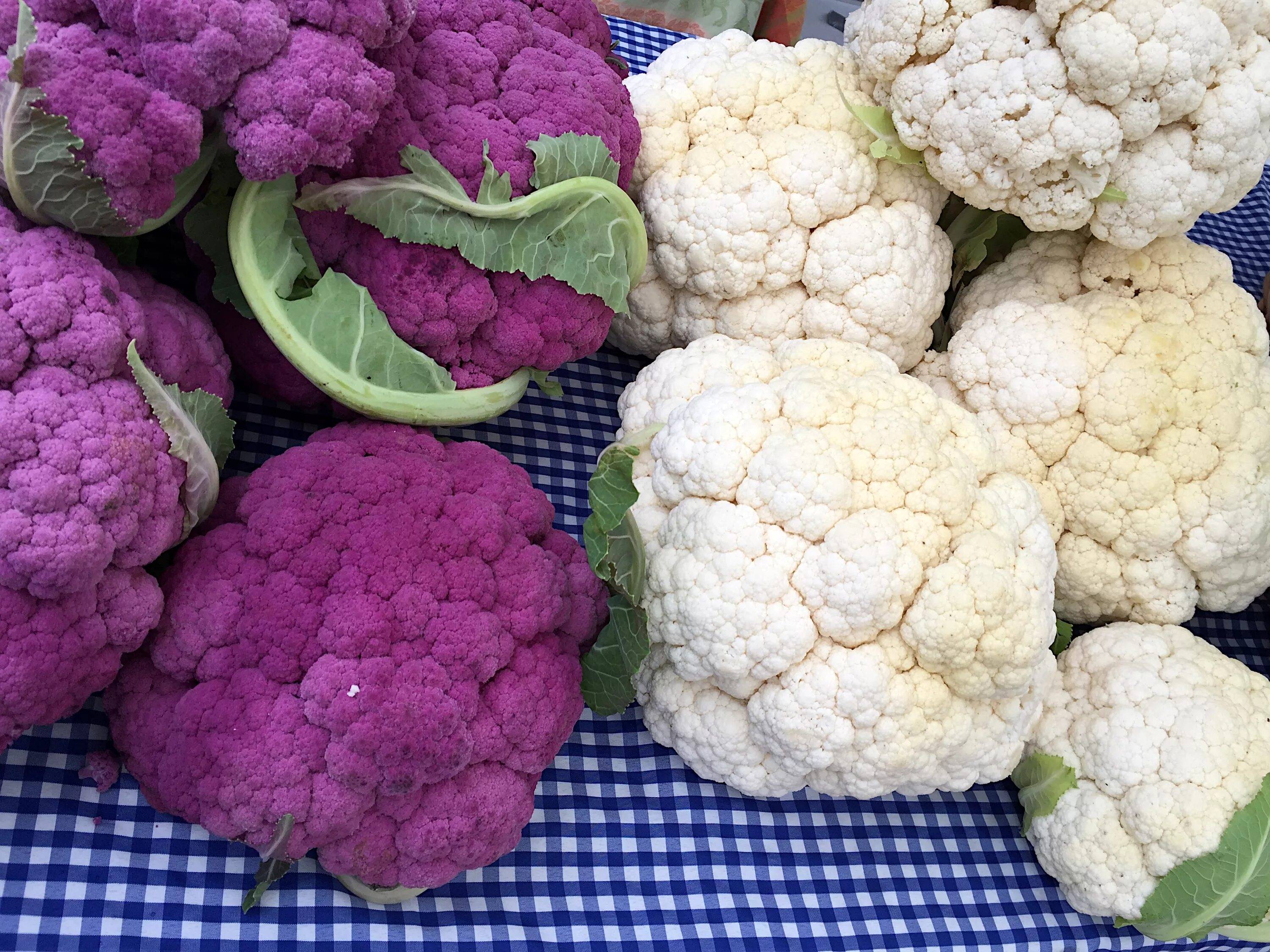 Капуста цветная фото красивое Обои для рабочего стола Cauliflower Пища Овощи Крупным 3000x2250