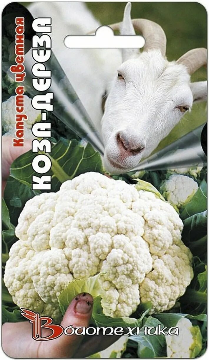 Капуста цветная коза дереза отзывы фото Купить капуста цветная коза-дереза, 0.3 г по цене 81 руб. в интернет магазине "П