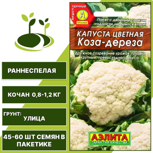 Капуста цветная коза дереза отзывы фото Отзывы на Капуста цветная Коза - Дереза 1 шт + подарок, крупная, раннеспелая, ве
