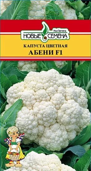 Капуста цветная описание сорта фото отзывы Капуста цветная Абени ххх Мой сад