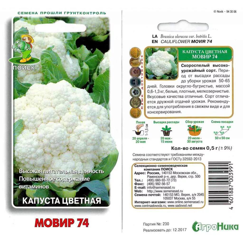 Капуста цветная описание сорта фото отзывы Цвітна капуста: сорти і порядок вирощування культури - найкраща інструкція! - Вс