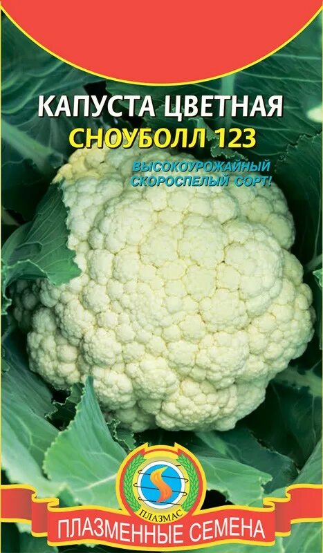 Капуста цветная сноуболл отзывы фото Капуста цветная Сноуболл 123 (белый пакет) - с бесплатной доставкой можно купить