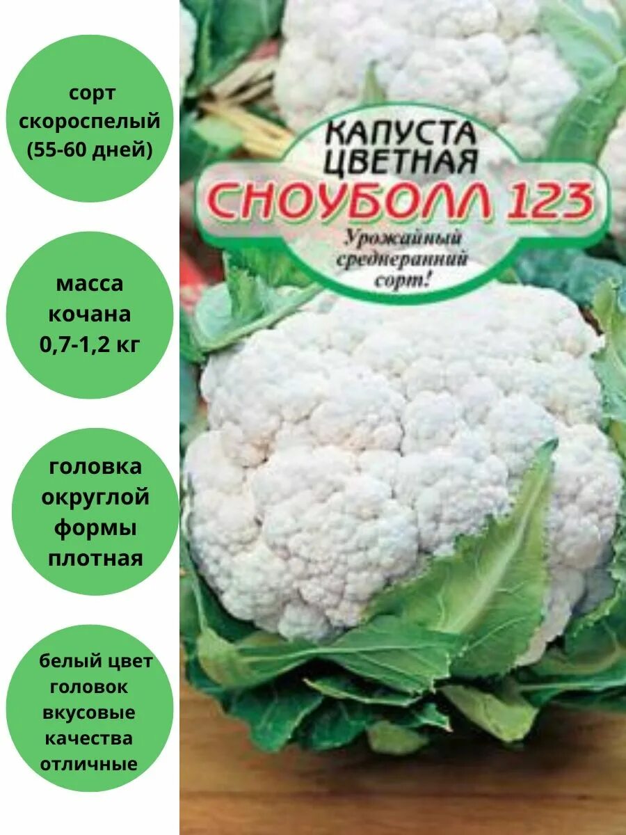 Капуста цветная сноуболл отзывы фото Капуста Сноуболл 123 цветная Сибирские сортовые семена 82603979 купить за 108 ₽ 