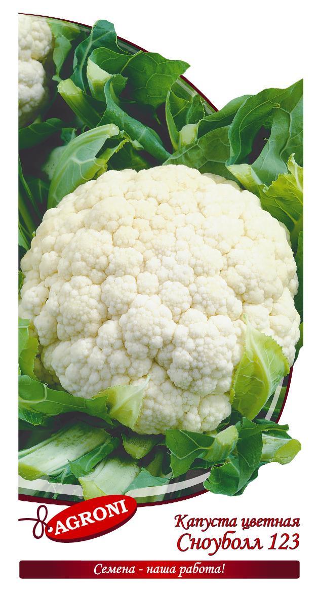 Капуста цветная сноуболл отзывы фото Agroni Агрони Капуста цветная СНОУБОЛЛ 123 - купить по выгодным ценам в интернет