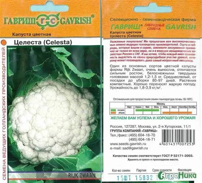 Капуста цветная сорта фото отзывы Капуста цветная ЧЕТЫРЕ СЕЗОНА (МАРВЕЛ 4 СЕАЗОНС)
