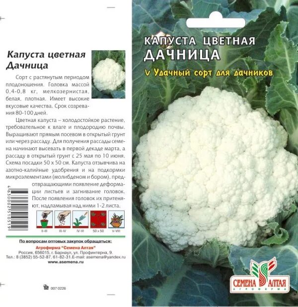 Капуста цветная сорта фото отзывы Капуста Цветная Дачница/Семена Алтая/цп 0,3 гр. во Владивостоке кабачок. Семена 