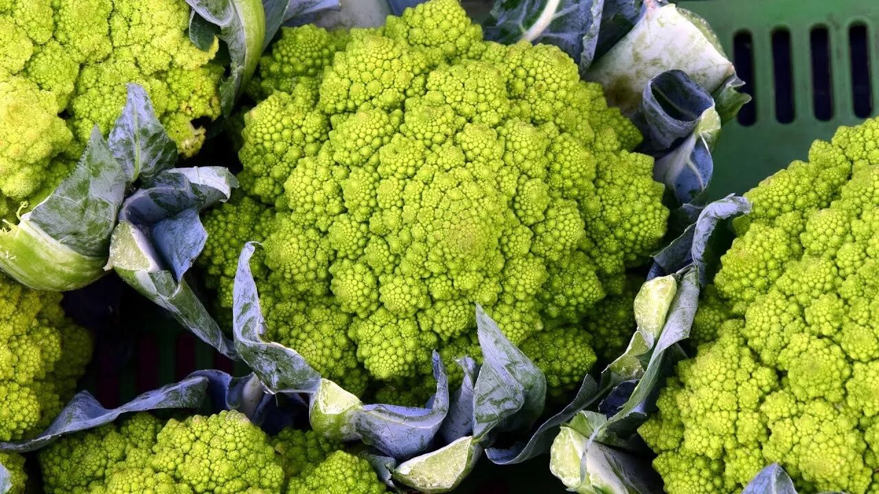 Капуста цветная зеленая фото 15 important health benefits of Cauliflower Health And Nutrition - YouTube