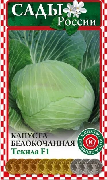 Капуста текила описание сорта фото отзывы Купить Капуста белокочанная Текила F1 16шт. за 55 руб. почтой "Сад-Эксперт" - Се