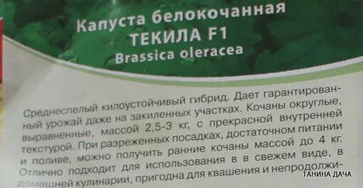 Капуста текила описание сорта фото отзывы Белокочанная капуста Текила F1 среднеспелого срока созревания. Семена НПО Сады Р