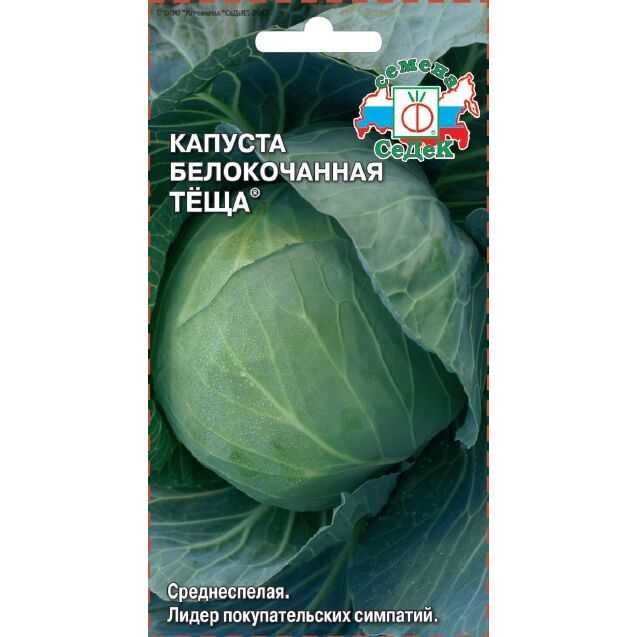Капуста теща описание сорта фото Капуста теща описание сорта фото - SadPhoto.ru