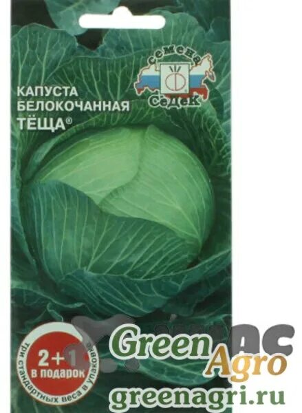 Капуста теща описание сорта фото отзывы Купить Семена пакетированные Капуста Теща 2+1 Седек Ц,Седек, купить по НИЗКОЙ це