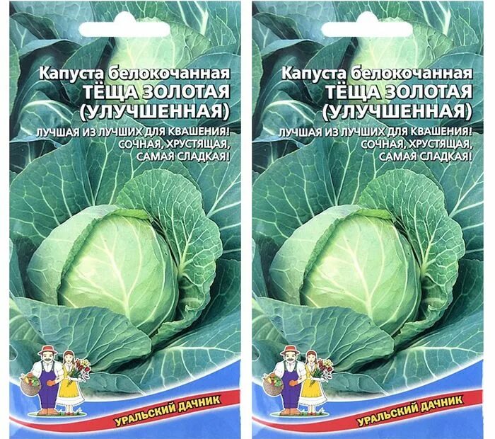 Капуста теща описание сорта фото отзывы Капуста Уральский дачник НаборСемянТоматовУральскийДачник - купить по выгодным ц
