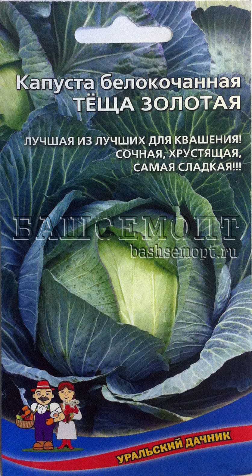 Капуста теща описание сорта фото отзывы Капуста теща описание сорта фото отзывы фото - Arhids.ru