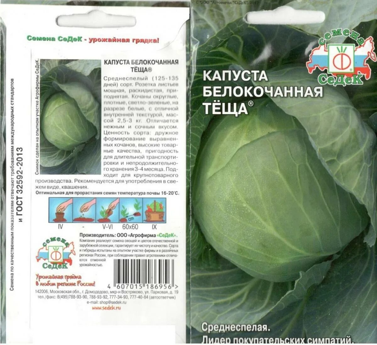 Капуста теща описание сорта фото отзывы Капуста Б/к Теща F1 0,5 Г Седек овощные Наш сад, пакеты цветные Семена Продукция