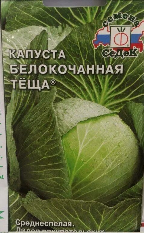 Капуста теща описание сорта фото отзывы Капуста Теща: описание сорта