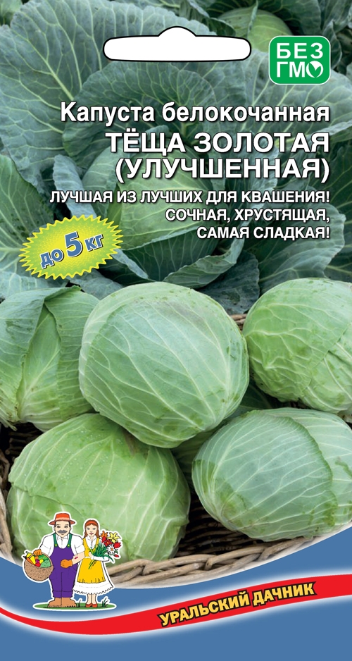 Капуста теща описание сорта фото отзывы Капуста белокочанная ТЁЩА ЗОЛОТАЯ (УЛУЧШЕННАЯ). Капуста белокочанная. Овощи. Ура