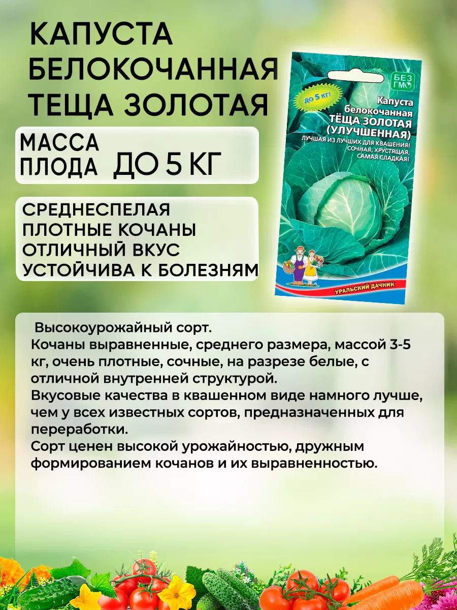 Капуста теща описание сорта фото отзывы Капуста теща описание сорта фото отзывы фото - Arhids.ru