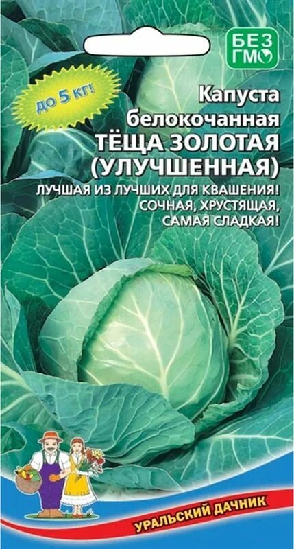 Капуста теща описание сорта фото отзывы садоводов Семена Капуста б/к Теща золотая: описание сорта, фото - купить с доставкой или п