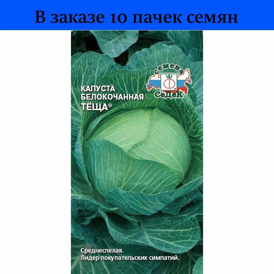 Капуста теща описание сорта фото отзывы садоводов Капуста koiko 8896370 - купить по выгодным ценам в интернет-магазине OZON