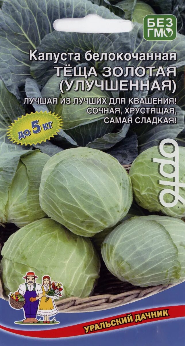 Капуста теща описание сорта фото отзывы садоводов Капуста белокочанная Теща Золотая (улучшенная), 0,3г от 23 руб. в Москве. Звонит