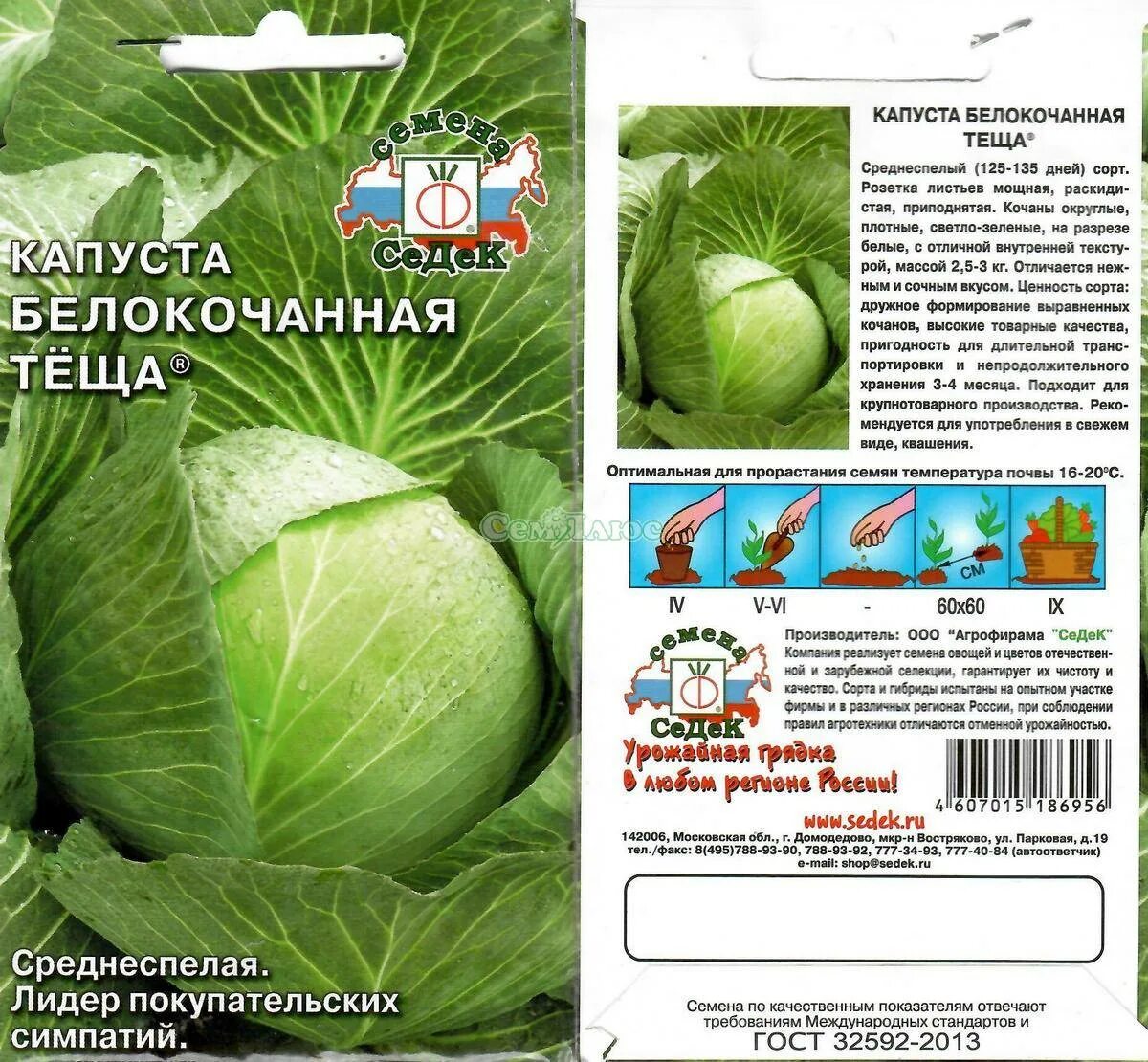 Капуста теща описание сорта фото отзывы садоводов Капуста теща золотая улучшенная: отзывы о белокочанном сорте, время посадки расс