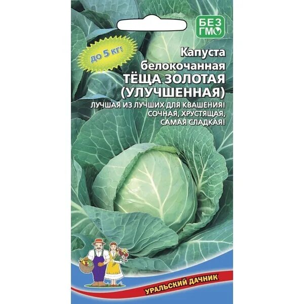 Капуста теща описание сорта фото отзывы садоводов Капуста Уральский дачник ку-2006 - купить по выгодным ценам в интернет-магазине 