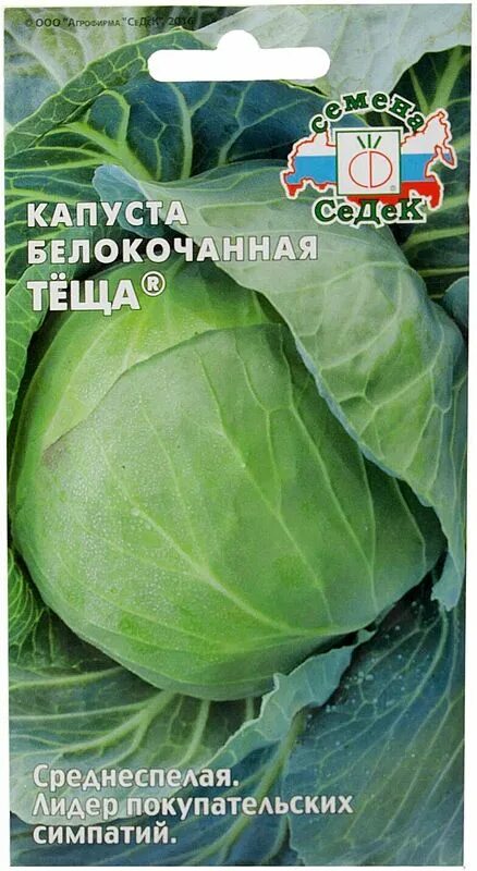 Капуста теща отзывы фото Семена Капуста б/к Тёща ®: описание сорта, фото - купить с доставкой или почтой 