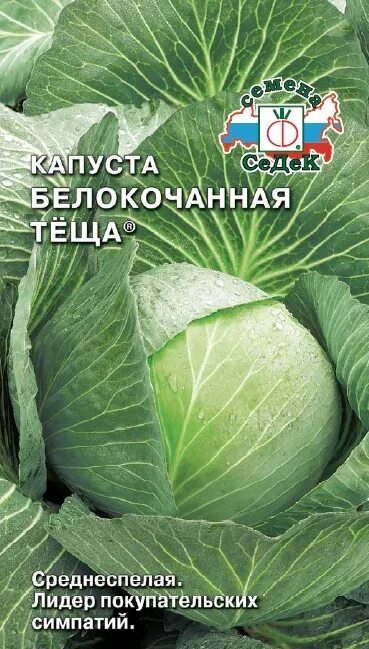 Капуста теща отзывы фото Капуста б/к Теща 0,5гр 5 шт + подарок - купить по выгодным ценам в интернет-мага