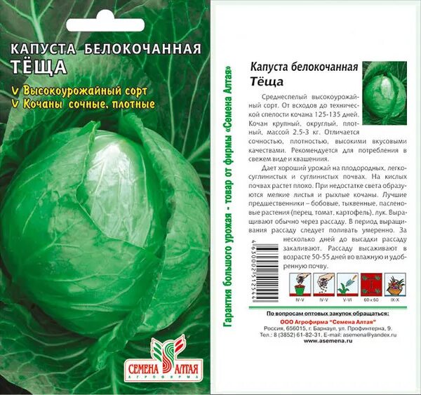 Капуста теща золотая описание сорта фото отзывы Ответы Mail.ru: что скажете о капусте"Тёща"?