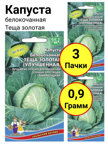 Капуста теща золотая описание сорта фото отзывы Отзывы на Капуста белокочанная Теща золотая 0,3 грамма, Уральский дачник - 3 пач