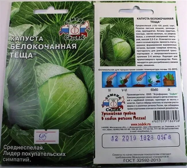Капуста теща золотая описание сорта фото отзывы Капуста Теща: описание сорта