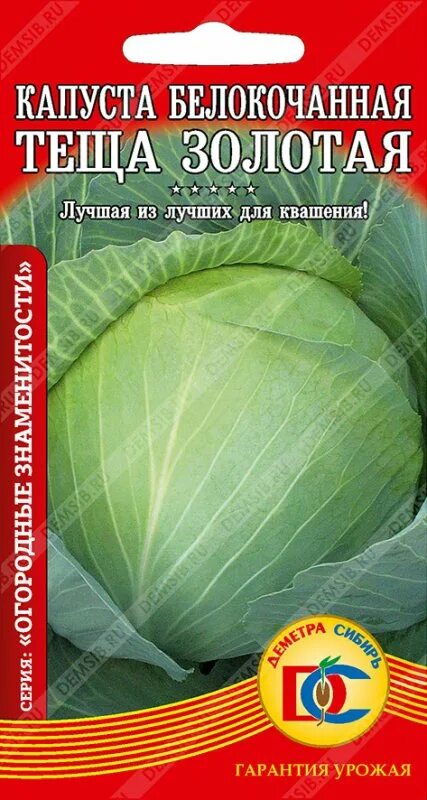 Капуста теща золотая описание сорта фото отзывы капуста белокочанная Теща золотая /0,1гр Дем Сиб/ Белокочанная Агрофирма Деметра
