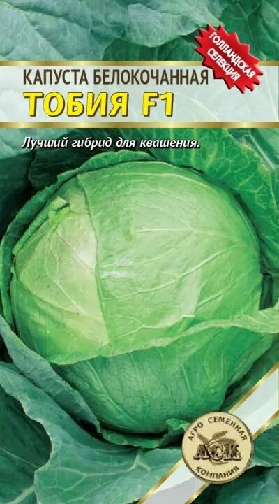 Капуста тобия описание сорта фото отзывы Купить семена Капуста Тобия F1 /АСК/ 10 шт в Новосибирске - Дом семян