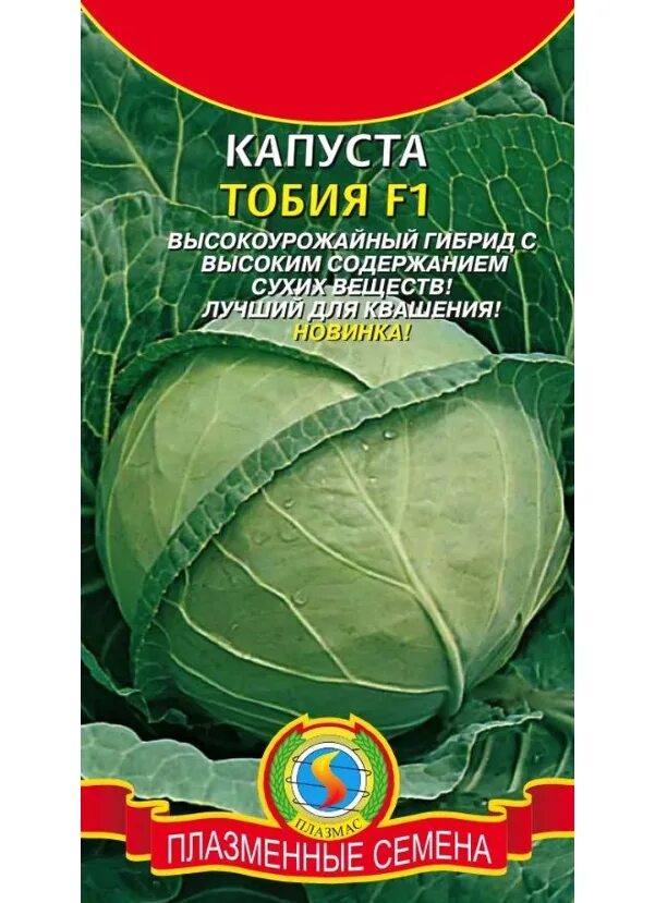 Капуста тобия описание сорта фото отзывы Семена капуста белокочанная Плазмас Тобия F1 1 уп. - купить в Москве, цены в инт