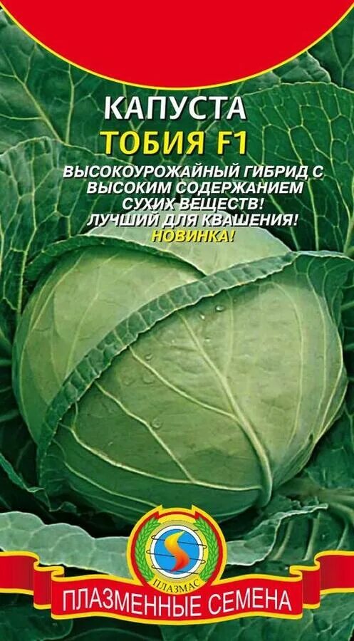 Капуста тобия описание сорта фото отзывы садоводов Капуста б/к Тобия F1 ЦВ/П (ПЛАЗМА) Семена ПЛАЗМА собираем по 10 штук упаковки. С