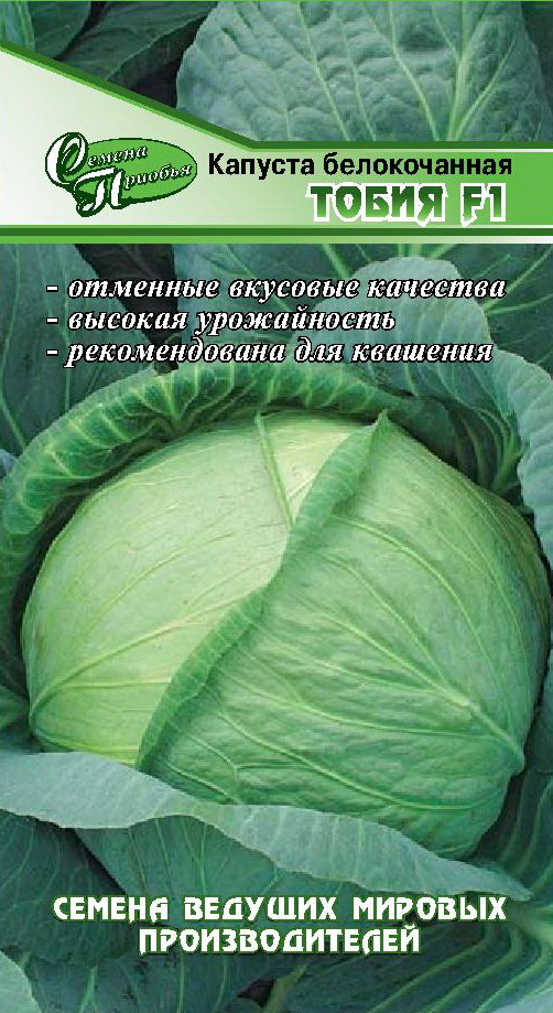 Капуста тобия описание сорта фото отзывы садоводов Капуста Категории продуктов