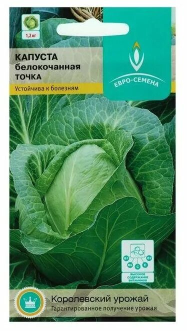 Капуста точка описание сорта фото отзывы Семена Капуста белокочанная "Точка", цв/п, 0,3 г - купить в интернет-магазине по