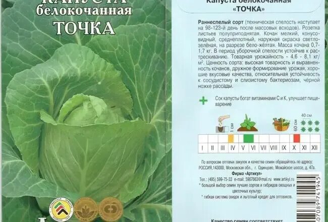 Капуста точка описание сорта фото отзывы Обзор сорта белокочанной капусты Доминанта f1