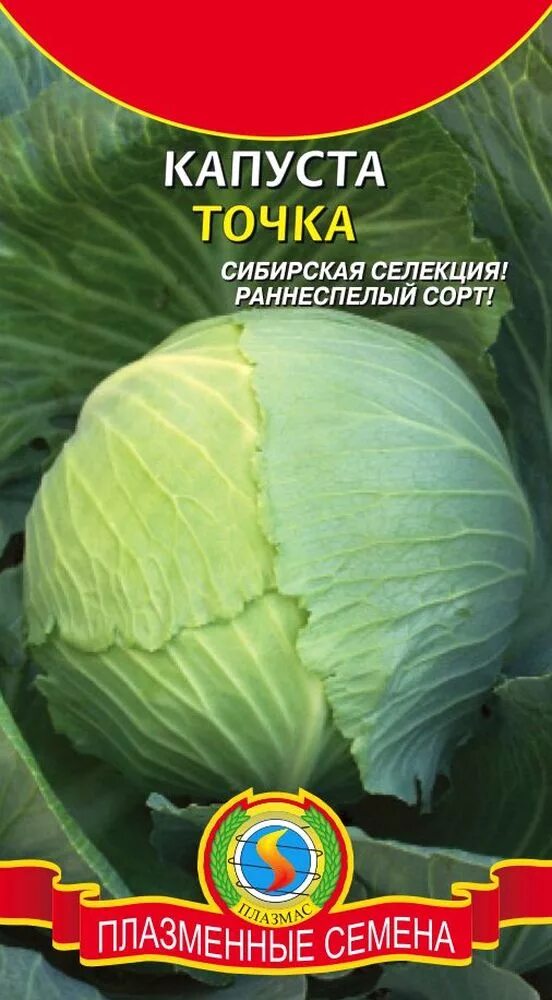 Капуста точка описание сорта фото отзывы Капуста белокочанная ТОЧКА
