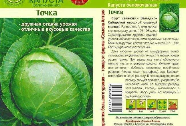 Капуста точка описание сорта фото отзывы Капуста мензания описание сорта фото отзывы Фитостудия-63.ру