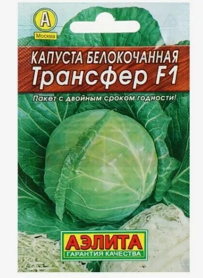 Капуста трансфер описание сорта фото Аэлита / Семена Капуста белокочанная "Трансфер" F1 "Лидер", 0,1 г , Капуста. Сем