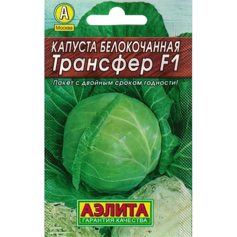 Капуста трансфер описание сорта фото Капуста белокочанная Трансфер F1 0,1 гр (семена) - купить семена по низкой цене 