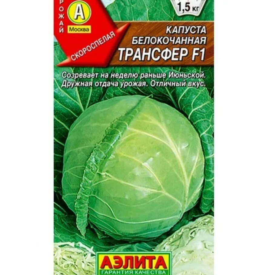 Капуста трансфер описание сорта фото Капуста Гаршинка Капуста Трансфер 01гр ЦП (семена Аэлита) - купить по выгодным ц