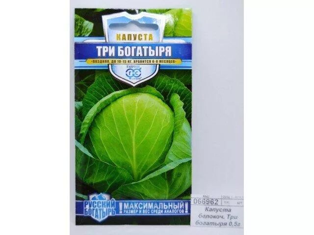 Капуста три богатыря описание сорта фото Капуста три богатыря описание сорта фото отзывы - Botanikasar.ru