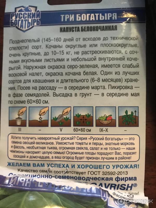 Капуста три богатыря описание сорта фото отзывы Отзыв о Семена капусты белокочанной Гавриш "Три богатыря" Капуста полностью соот