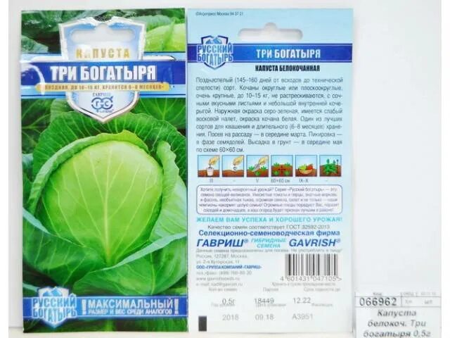 Капуста три богатыря описание сорта фото отзывы Капуста три богатыря описание сорта фото отзывы фото - Arhids.ru