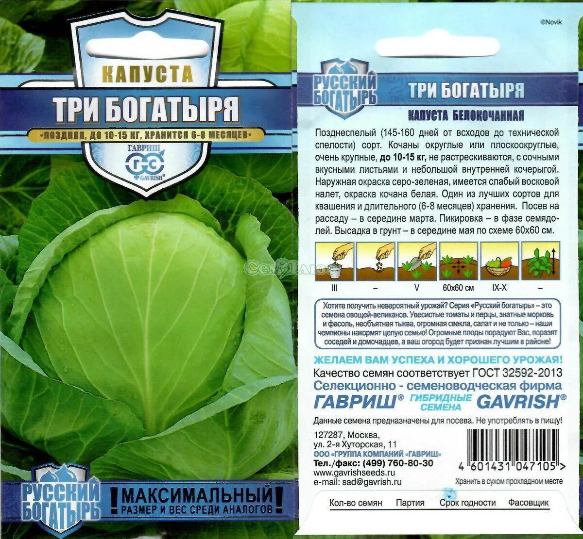 Капуста три богатыря описание сорта фото отзывы Три богатыря капуста Фитостудия-63.ру