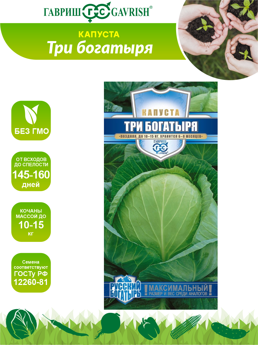 Капуста три богатыря описание сорта фото отзывы Сорт капусты три богатыря - купить по низкой цене на Яндекс Маркете