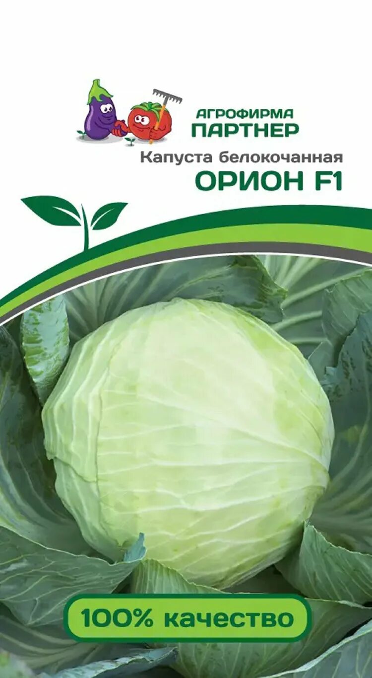 Капуста триумф описание сорта фото отзывы садоводов Купить капуста б/к орион f1, 0.2 г по цене 80 руб. в интернет магазине "Первые С