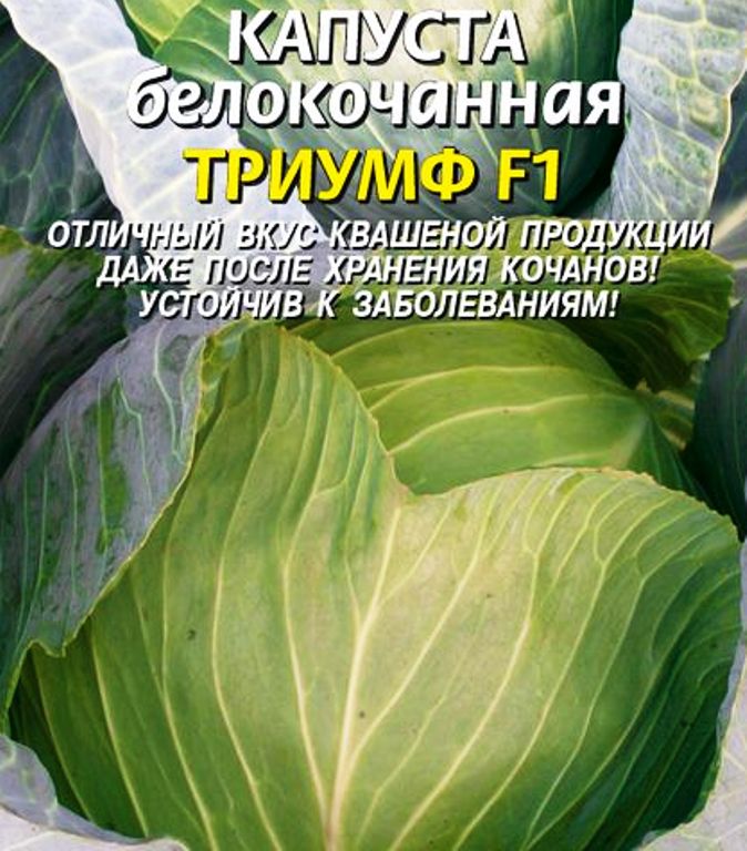 Капуста триумф описание сорта фото отзывы садоводов Семена Капуста б/к F1 Триумф: описание сорта, фото - купить с доставкой или почт